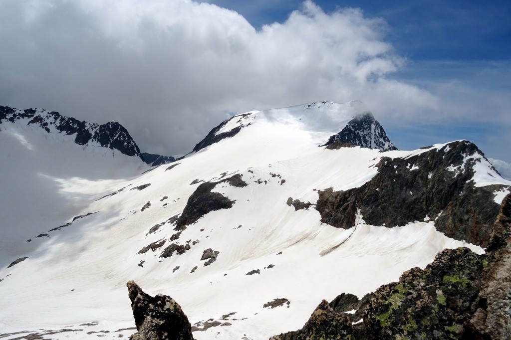 #14 Etandard Etandard