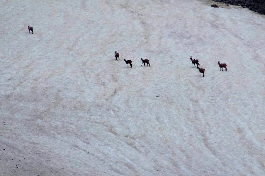 #20 on était pas seul on était pas seul