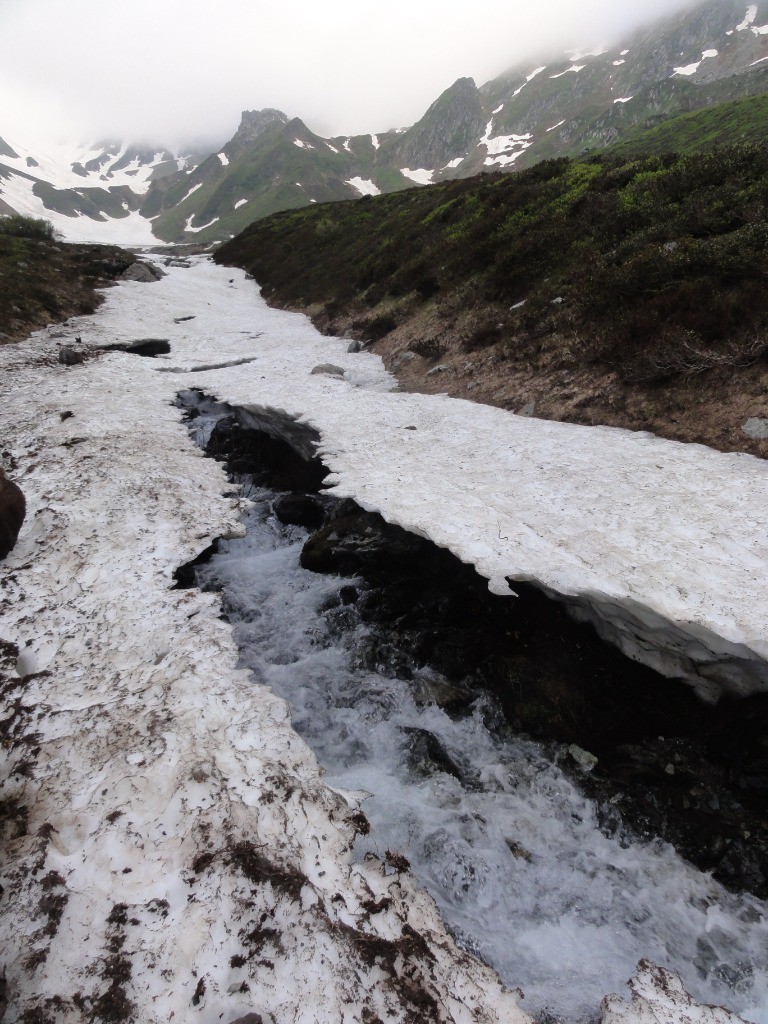 #1 Gaffe aux pièges ! Gaffe aux pièges !
