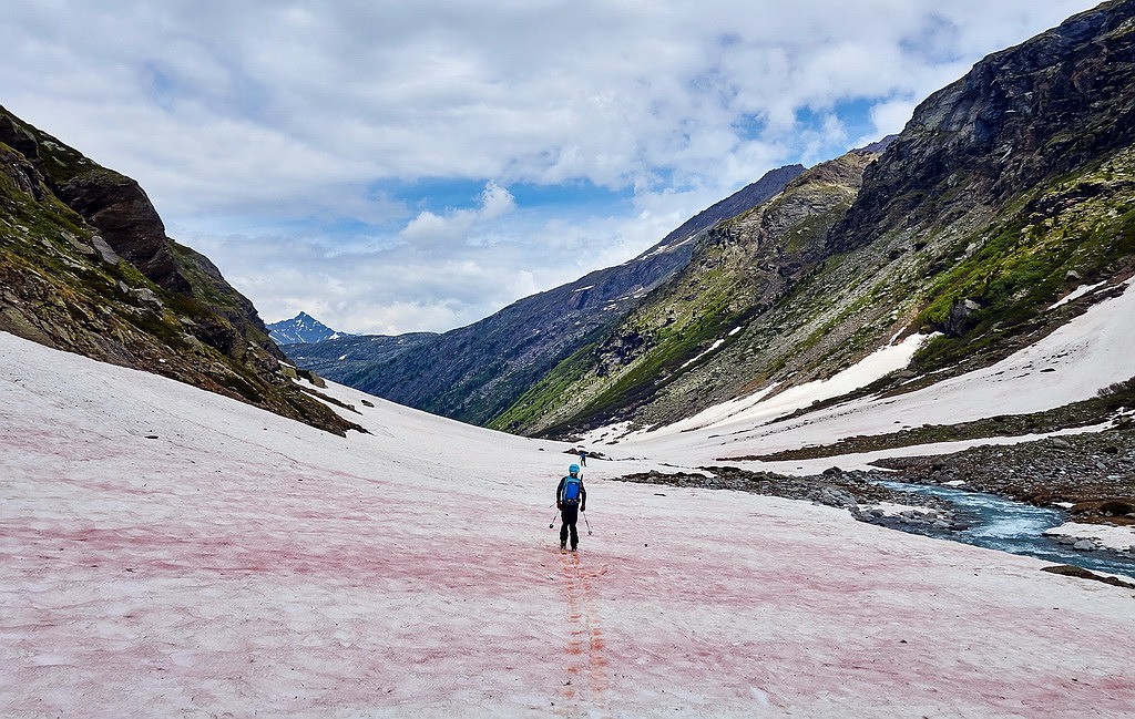 #40 On se laisse glisser sur la neige rose... On se laisse glisser sur la neige rose...