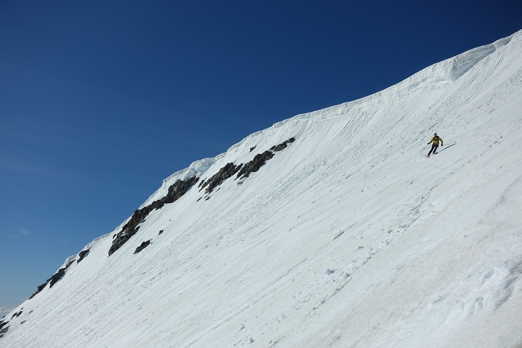 #21 Moquette ! Moquette !