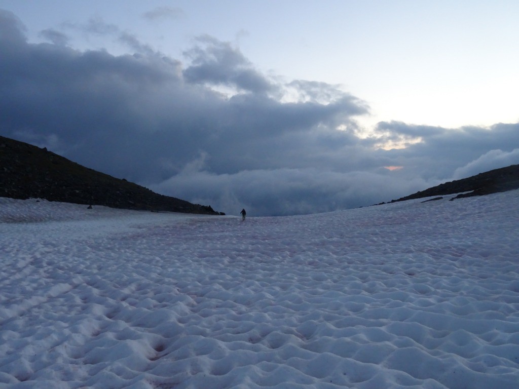 #1 Alvéoles Alvéoles