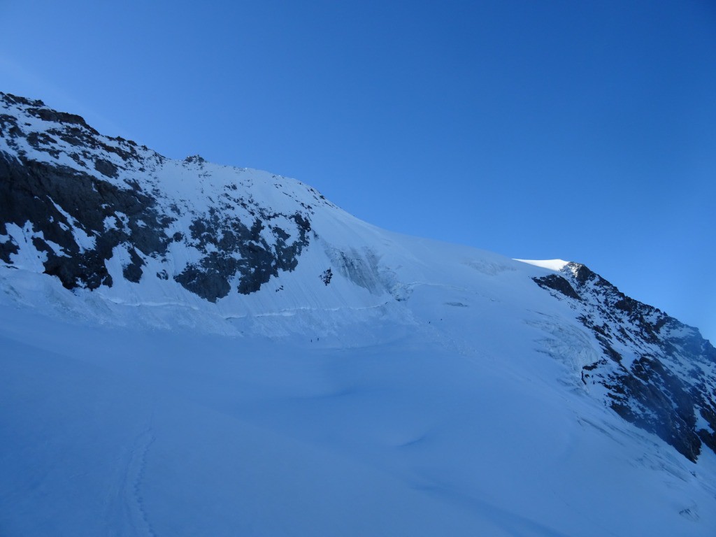 #11 Glacier du Col Glacier du Col