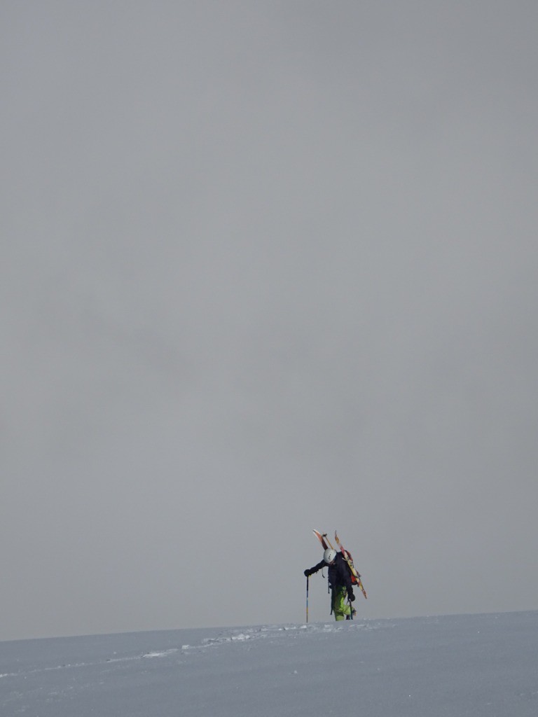 #16 l l'image du week-end..