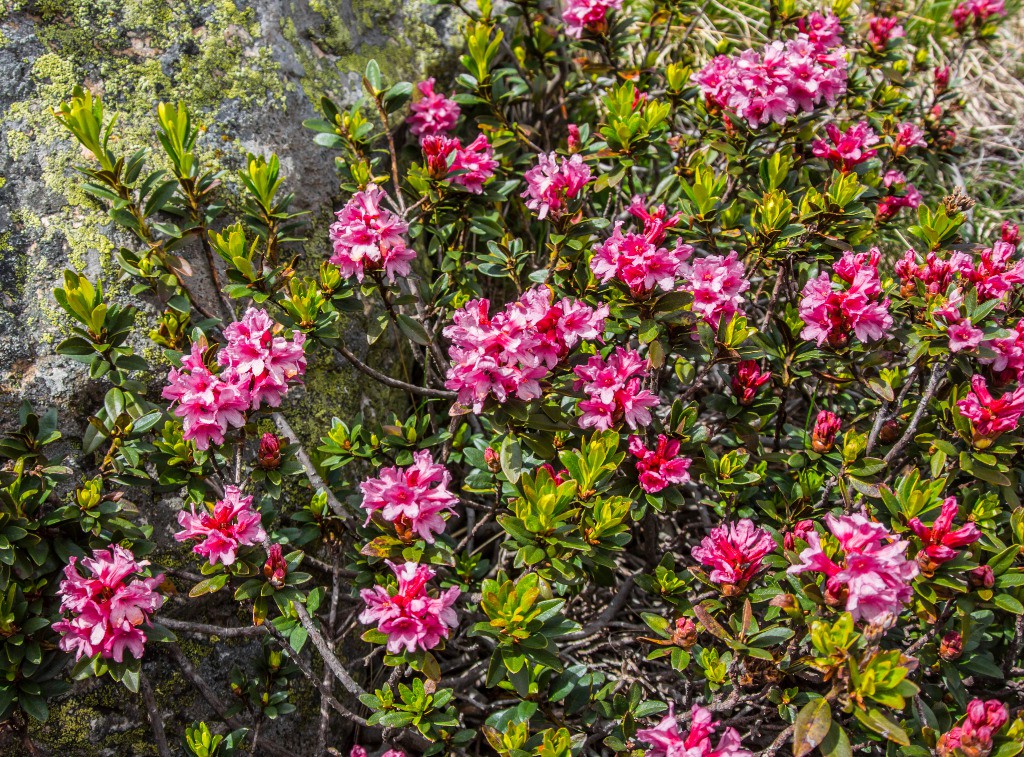 #21 Bientôt l Bientôt l'été!