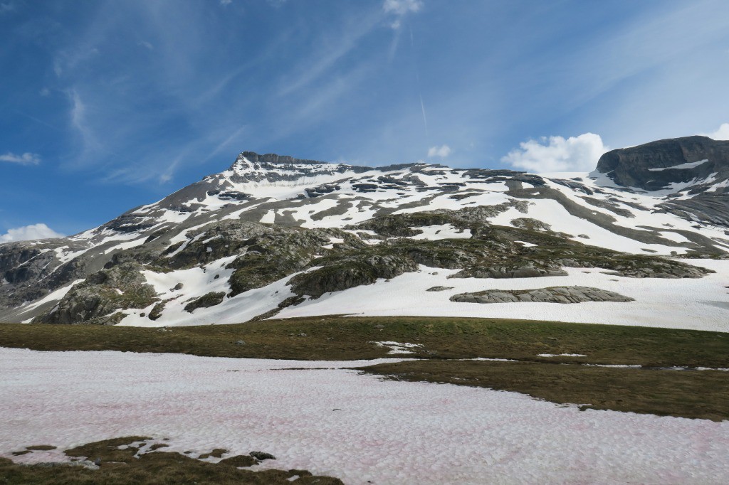 #17 Réchasse Réchasse