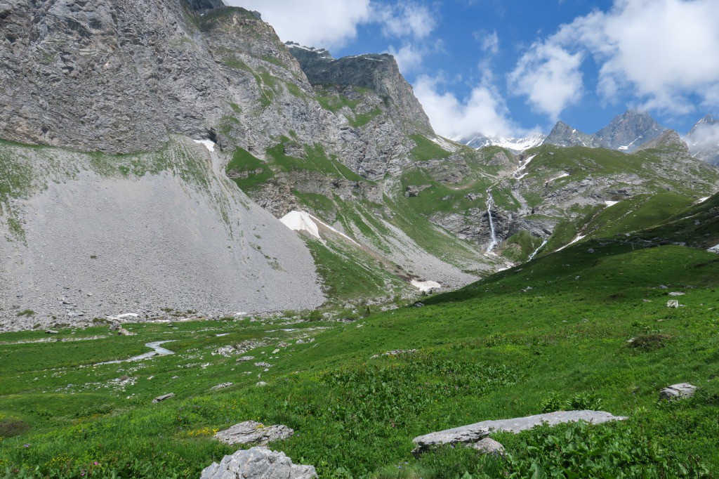 #31 Retour verdoyant Retour verdoyant