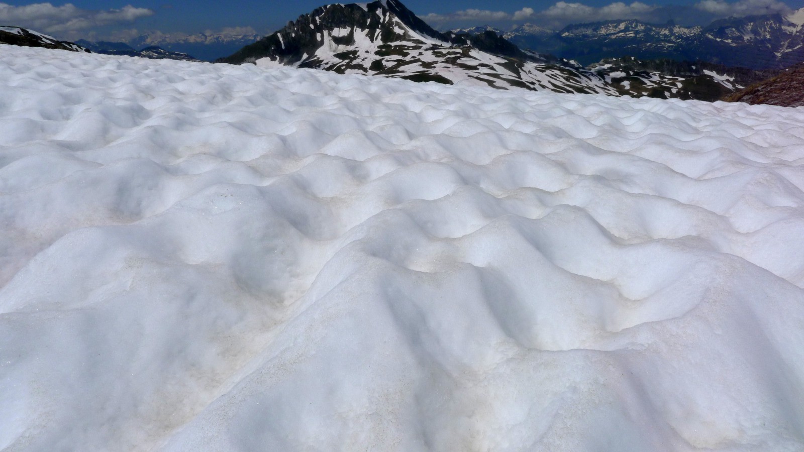 #28 Cupules ou boites à oeufs ? Cupules ou boites à oeufs ?