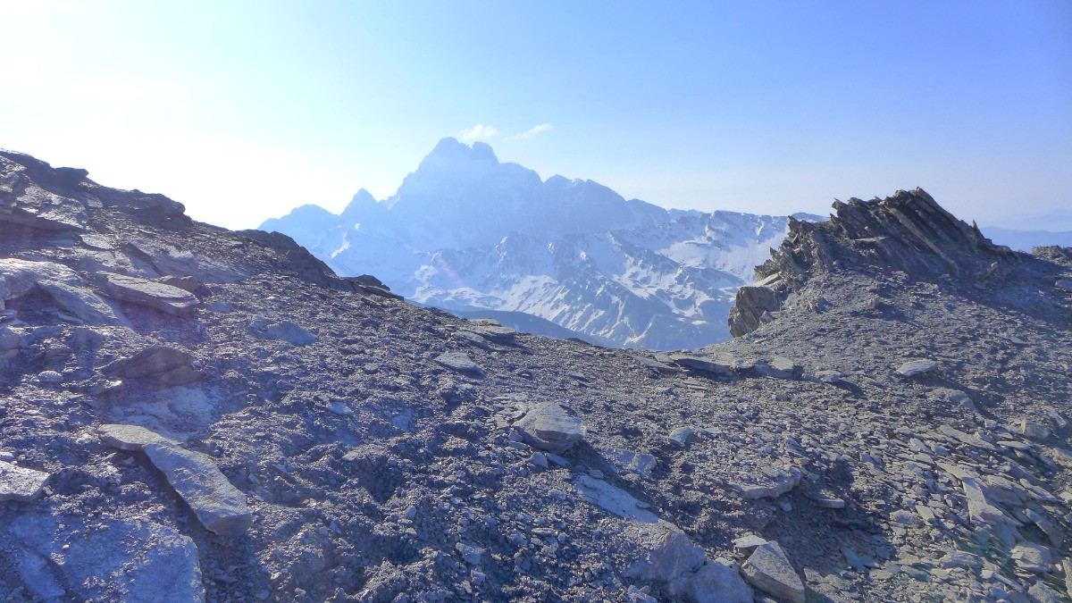 #8 Depuis le col d Depuis le col d'Asti: le Viso.