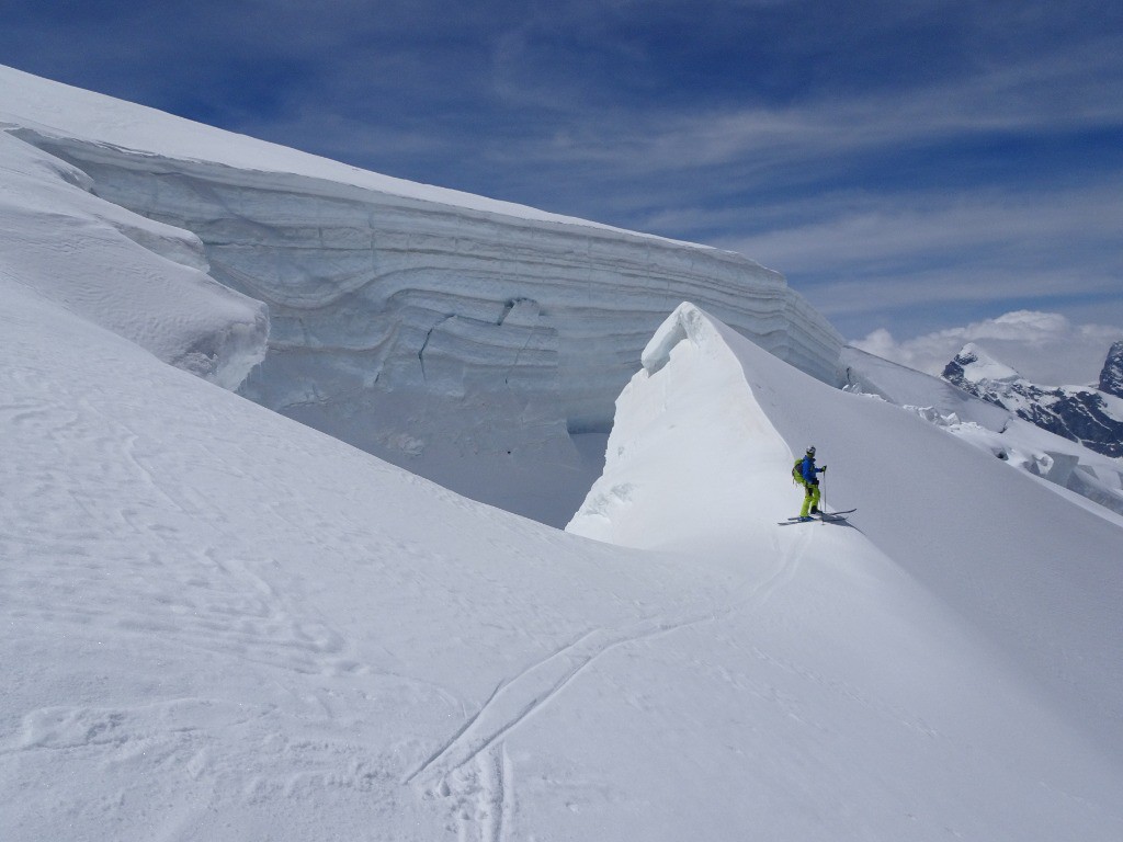 #11 pas bouger ! pas bouger !