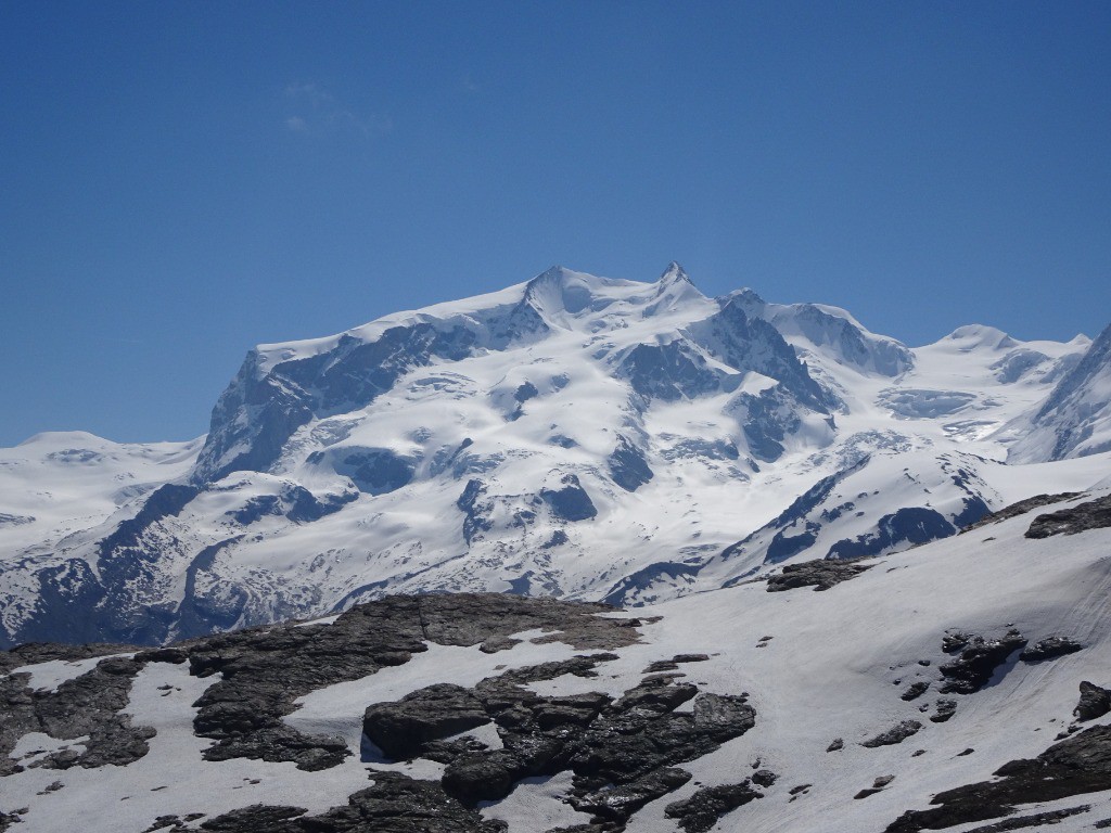 #1 la bête la bête