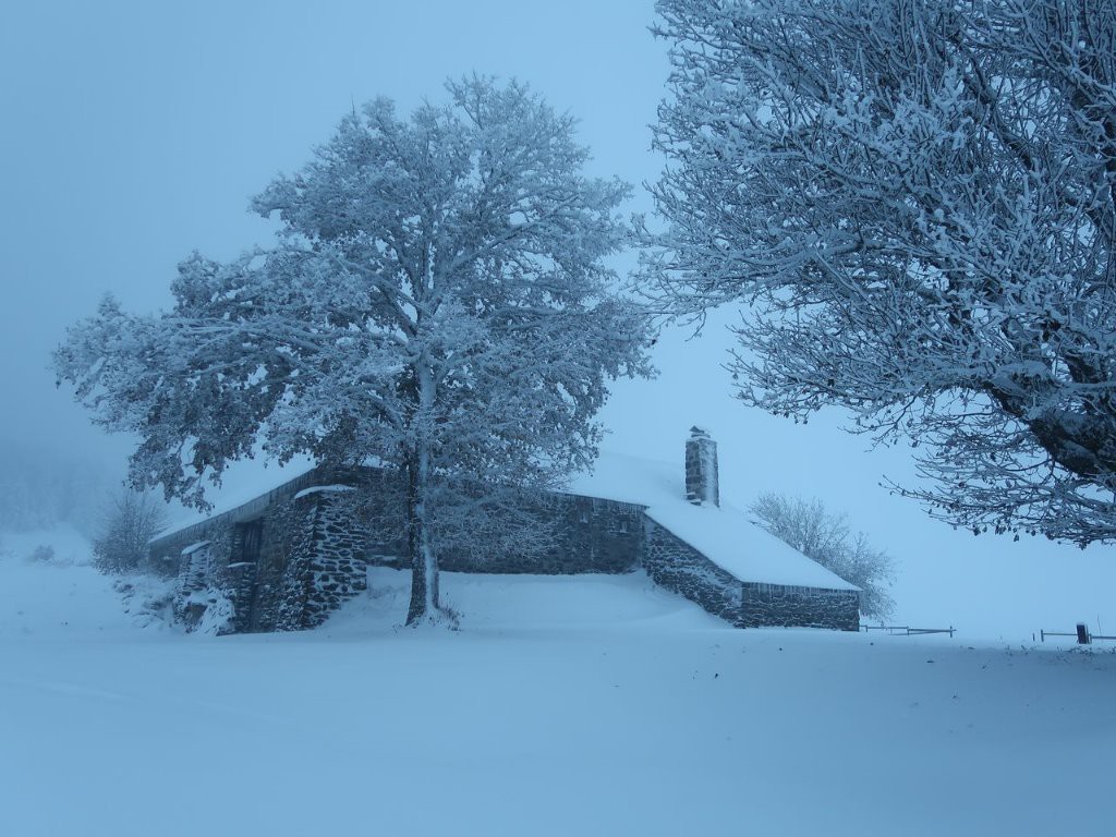 #4 Peyrot s Peyrot s'est endormi