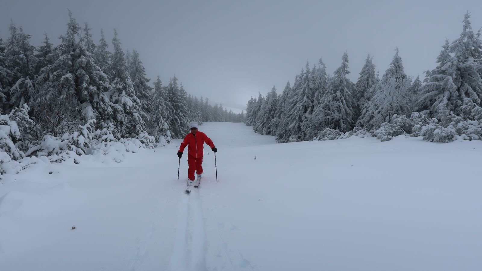 #5 Thierry, affûté comme jamais Thierry, affûté comme jamais