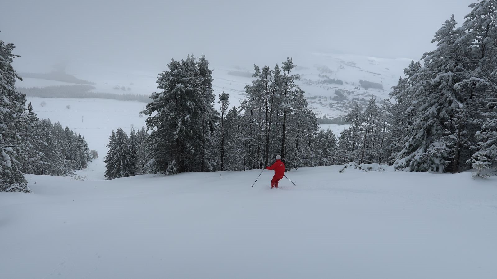 #8 Le tigre du Mézenc
Le tigre du Mézenc