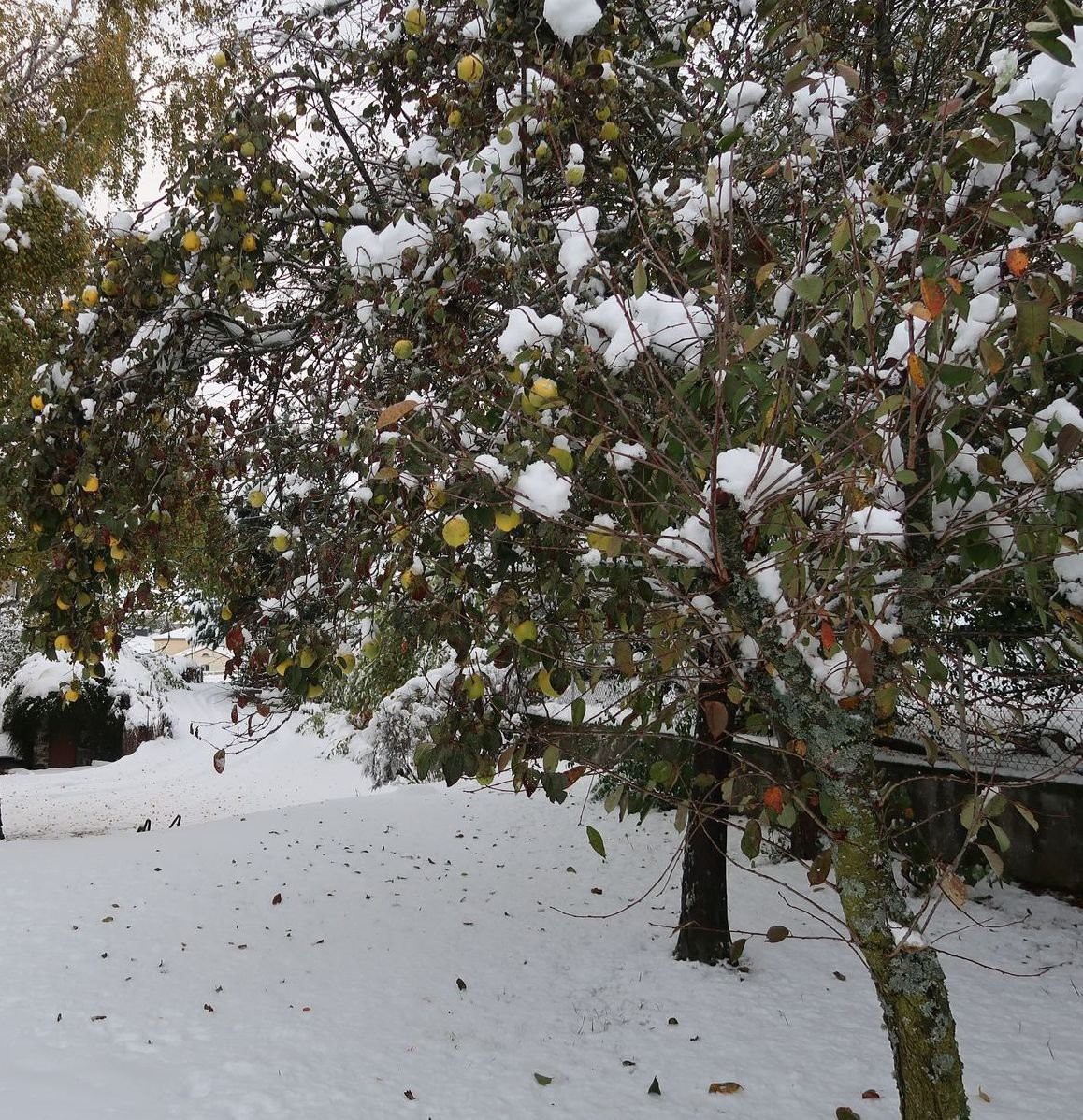 #1 Dans un coing perdu des montagnes Dans un coing perdu des montagnes