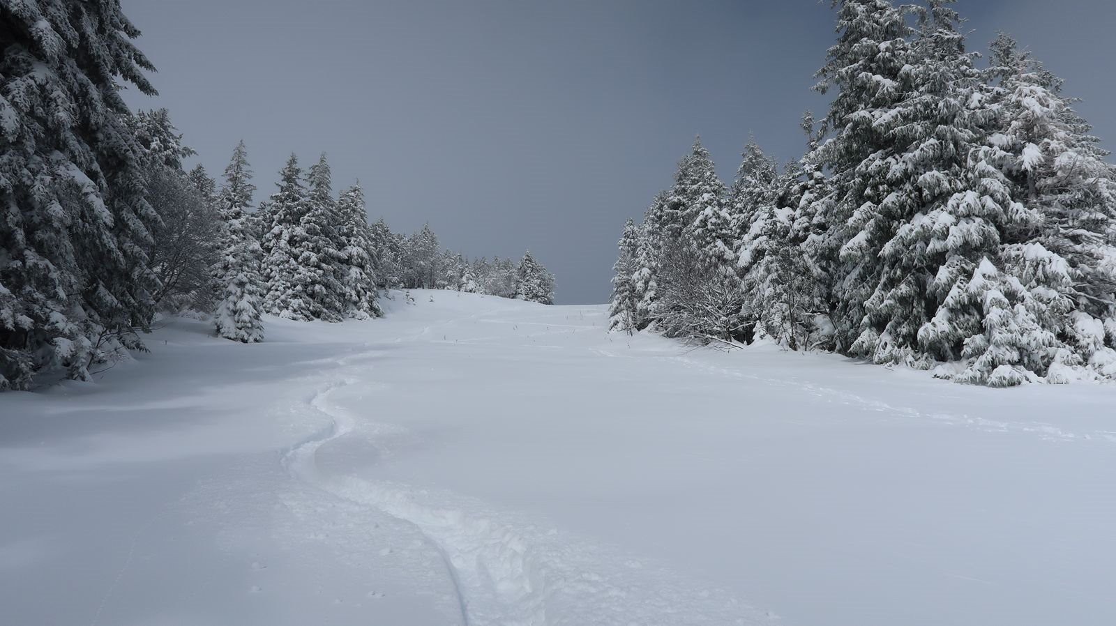 #4 Bonne première trace Bonne première trace