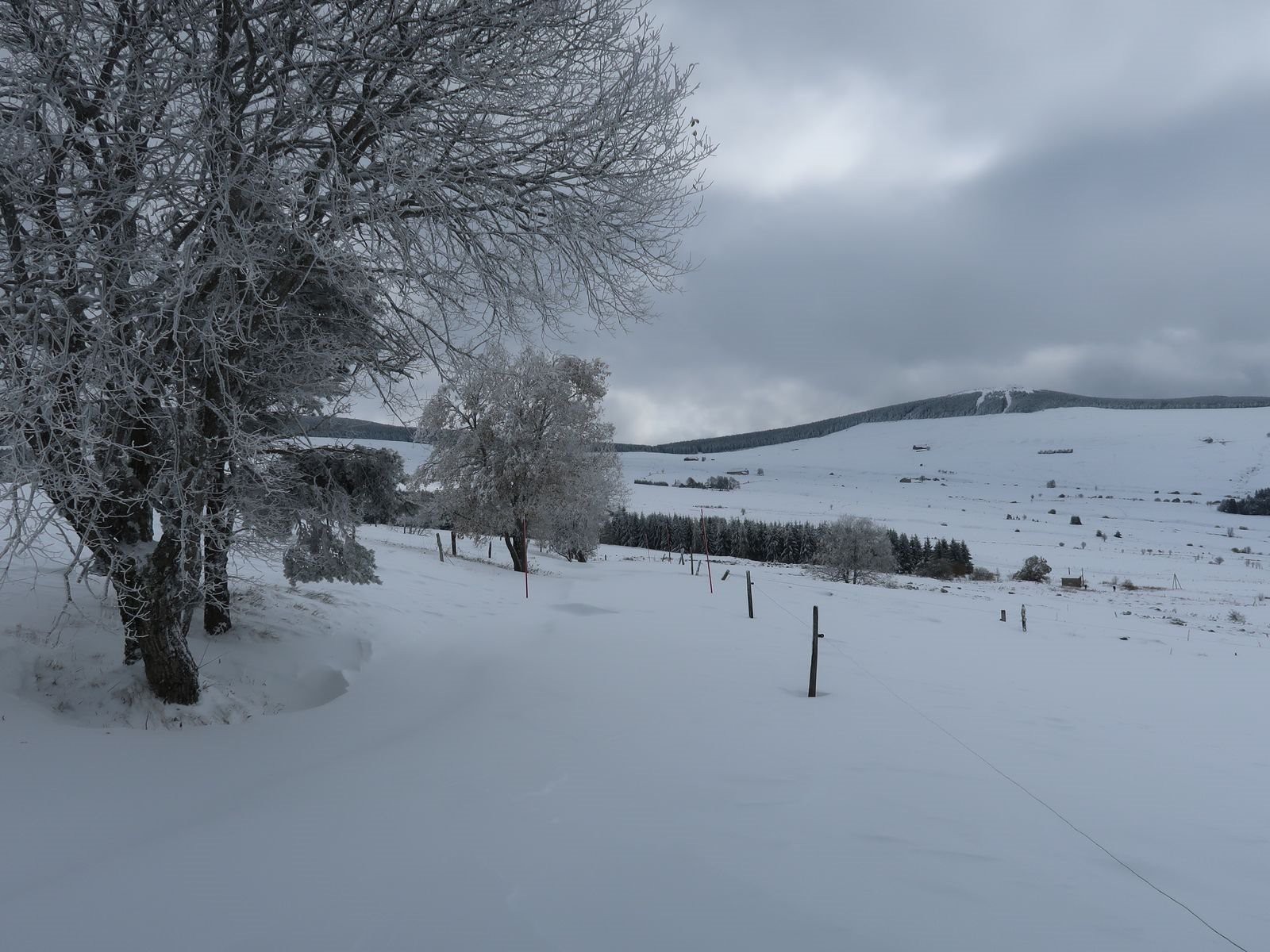 #3 Les éclaircies pointent Les éclaircies pointent