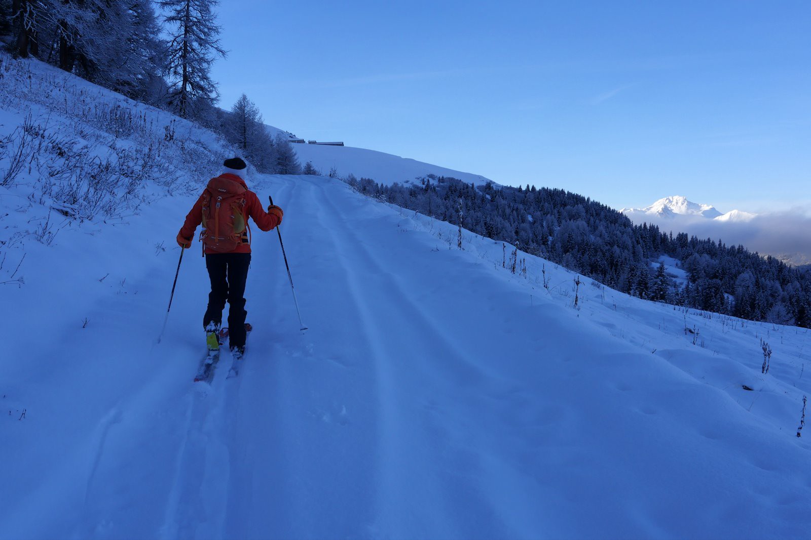 #2 L L'enneigement de la route d'alpage contraste avec les prairies hérissées des hampes desséchées de gentianes jaune, vératres et graminées.