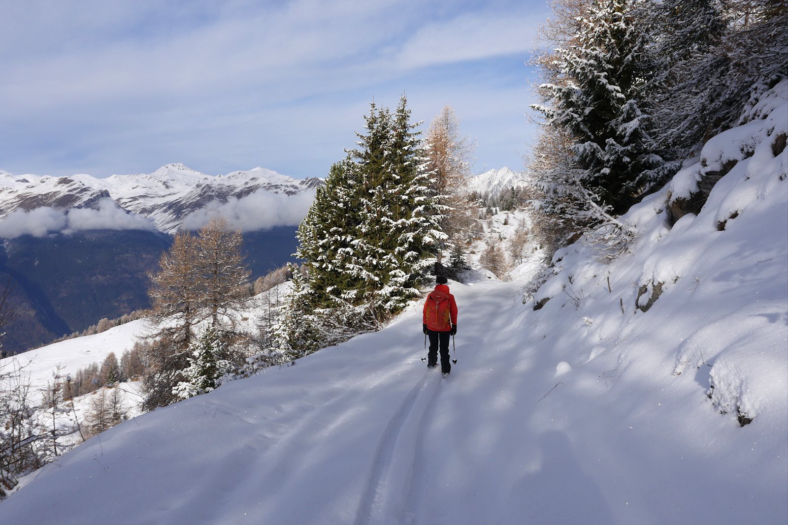 #21 Point de salut en dehors de la piste pastorale. Point de salut en dehors de la piste pastorale.