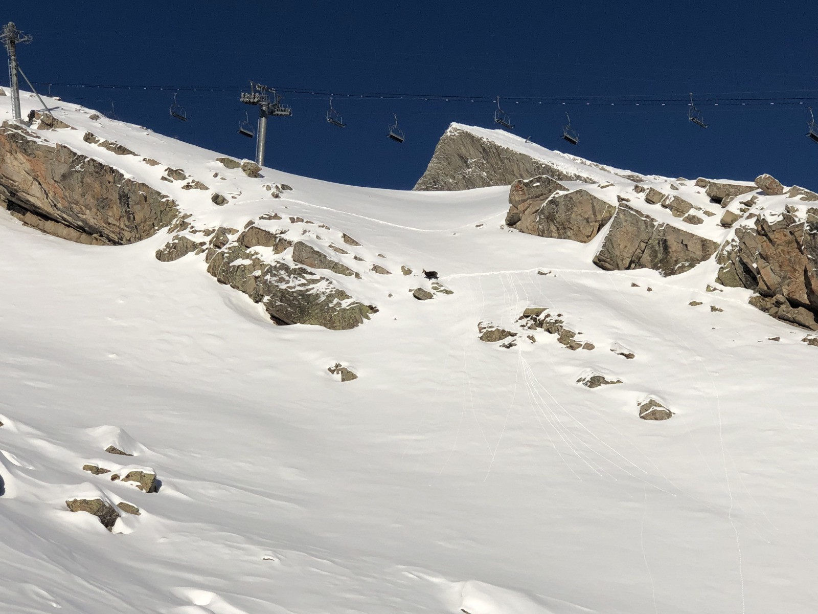 #4 Le chamois habituel Le chamois habituel