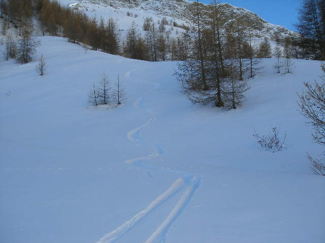 #4 bonne neige : un régal! bonne neige : un régal!