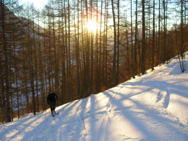 #1 lever du soleil : sur les mélèzes lever du soleil : sur les mélèzes