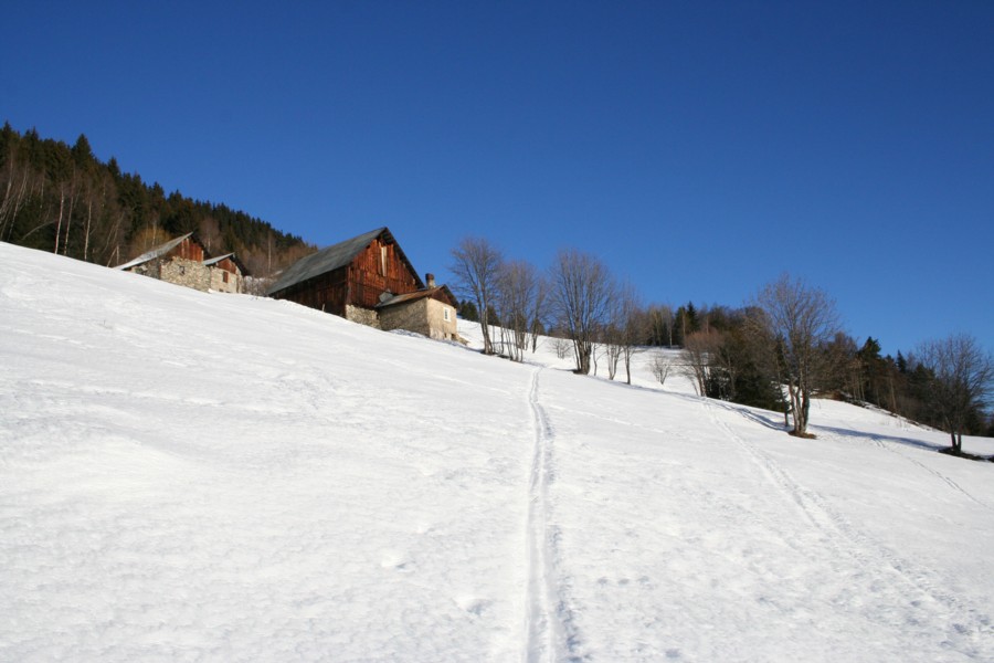 #1 Le Mont : Début de l Le Mont : Début de l'tinéraire : succession de clairières et de passages en forêt
