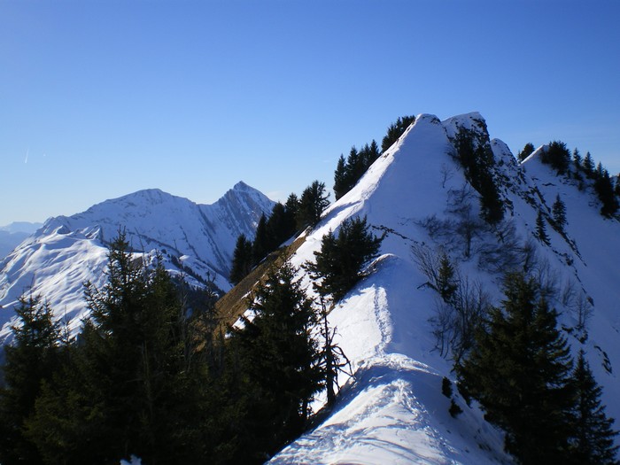 #3 Côte Favre : Du sommet, vue sur le chainon Armène - Pécloz. Côte Favre : Du sommet, vue sur le chainon Armène - Pécloz.