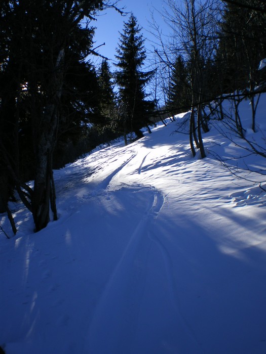 #4 Côte Favre : Descente en forêt... Côte Favre : Descente en forêt...