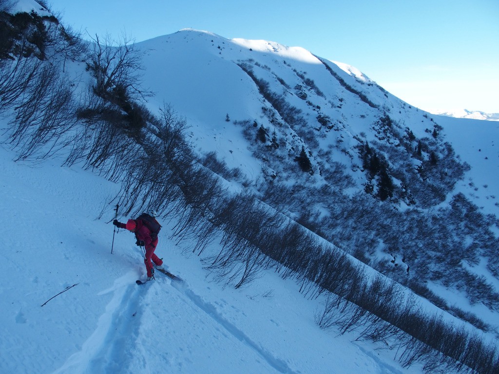 #5 Pas mal de conversions Pas mal de conversions