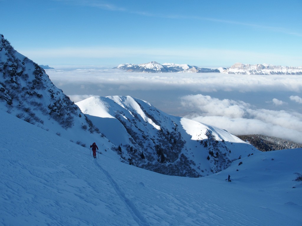 #7 Chartreuse émerge Chartreuse émerge