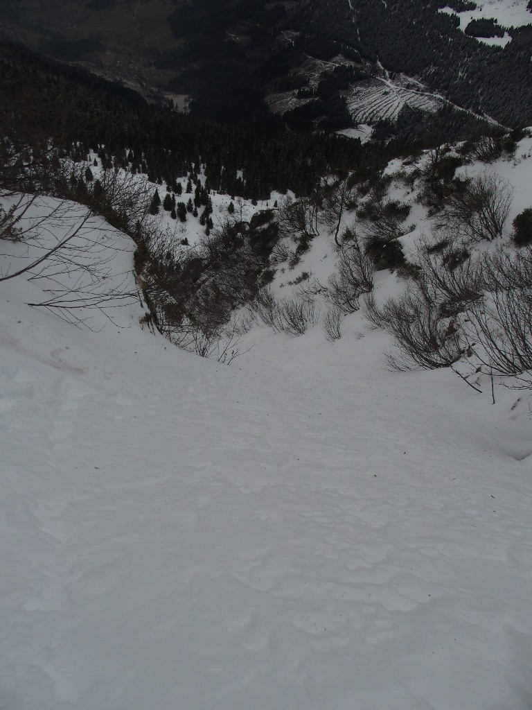 #13 Descente Descente