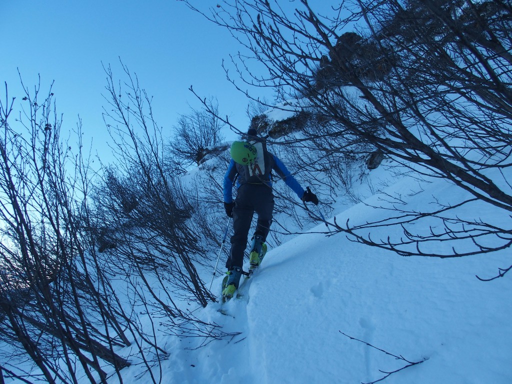 #4 Les vernes malcommodes Les vernes malcommodes