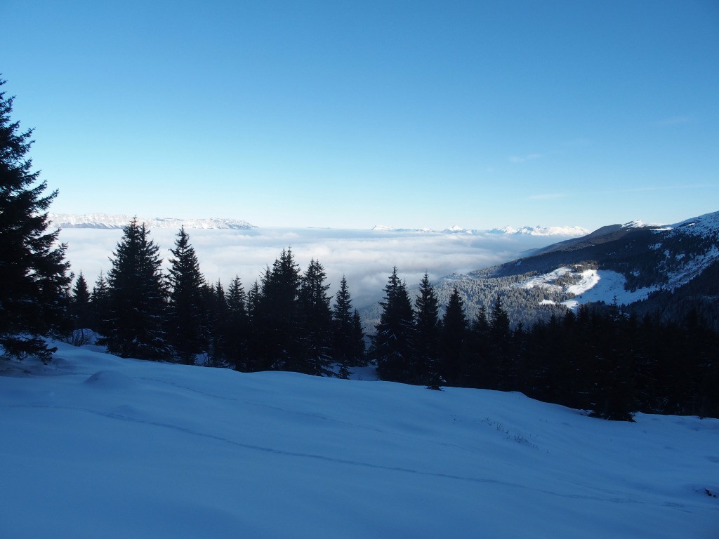 #2 Brume en bas Brume en bas