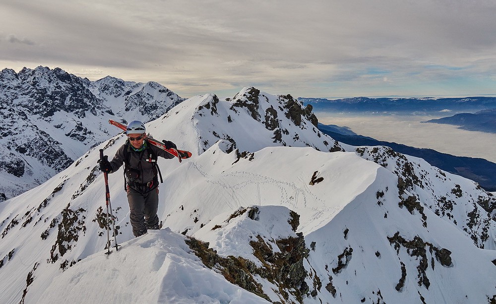 #17 What else??? What else???