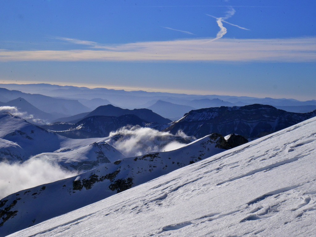 un solitaire sur la crête de l'Aiglière