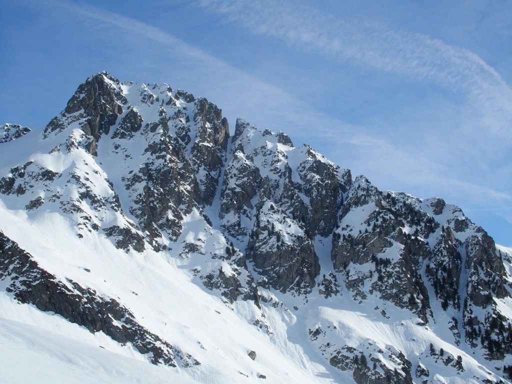 #5 Objectif du jour, encore à l Objectif du jour, encore à l'ombre...