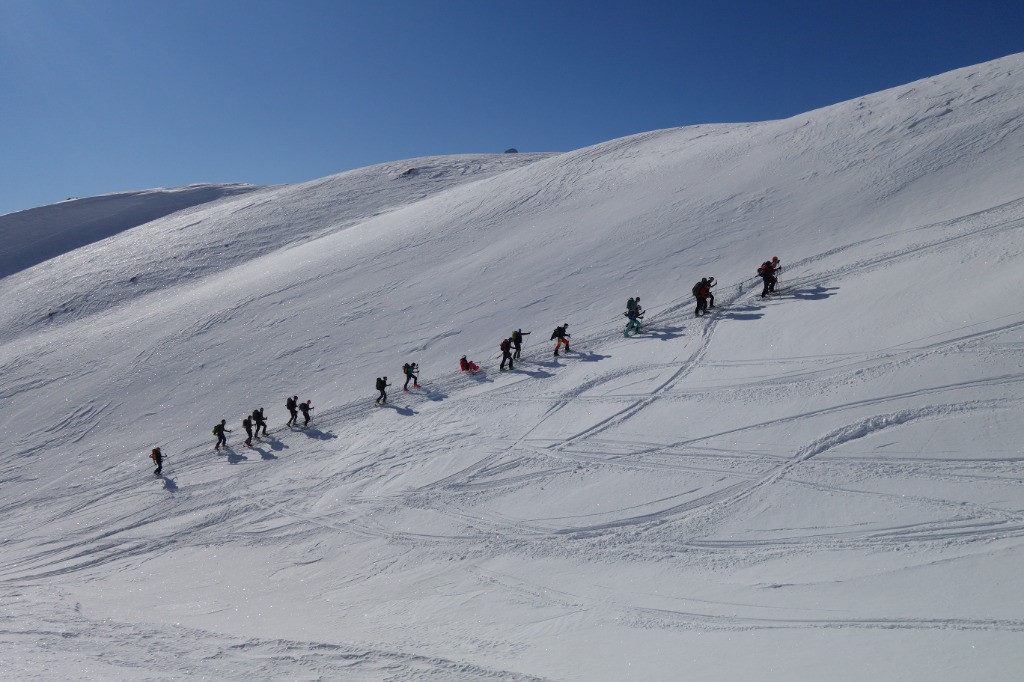 #4 L L'attelage de Stéphanie et les randonneurs croisés qui nous auront prêté main forte! Merci à eux :-)