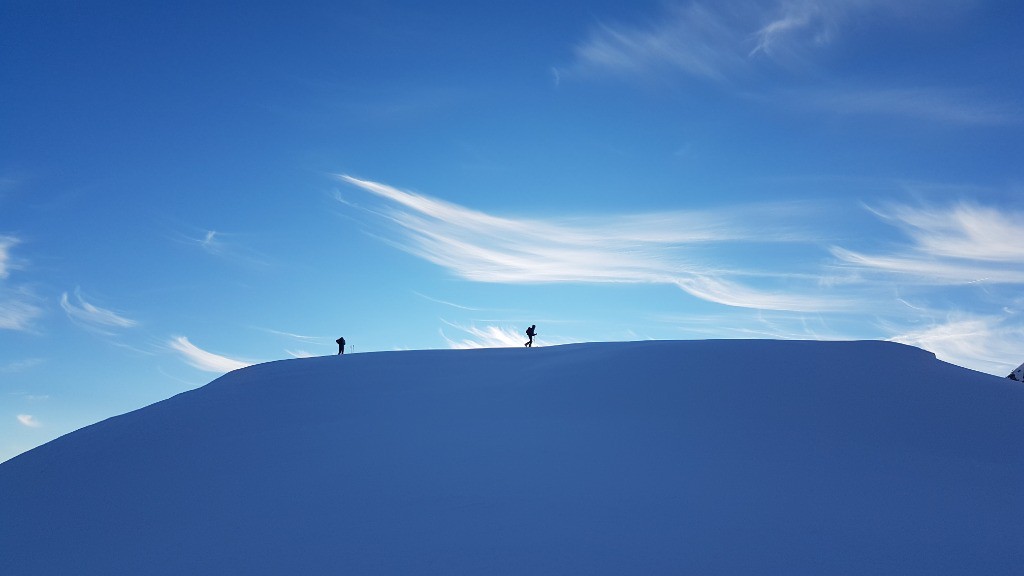 #10 Minuscules êtres solitaires... Minuscules êtres solitaires...