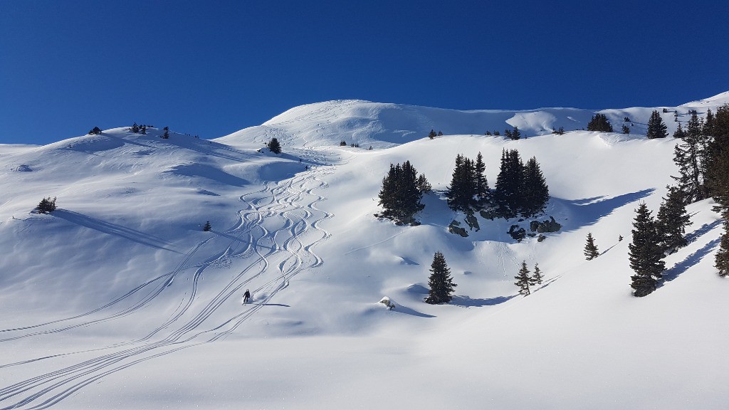 #5 Yahaaaaaa ! Descente sur le chalet du Sécheron de Feissons... un délice ! Yahaaaaaa ! Descente sur le chalet du Sécheron de Feissons... un délice !