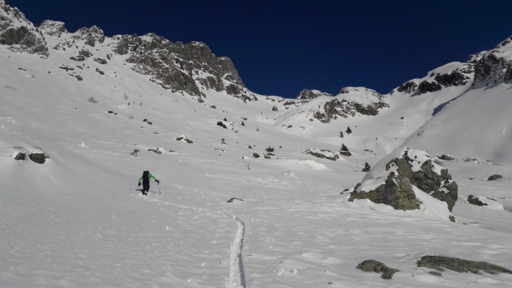 #1 Etat des lieux à la sortie de la forêt.
Etat des lieux à la sortie de la forêt.