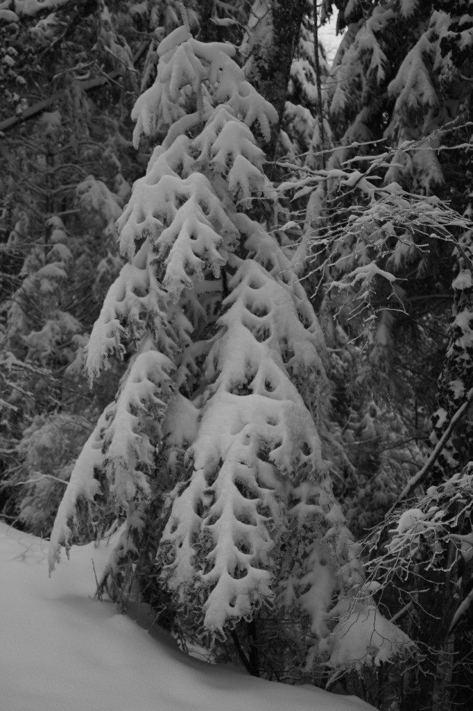 #1 hiver, enfin hiver, enfin