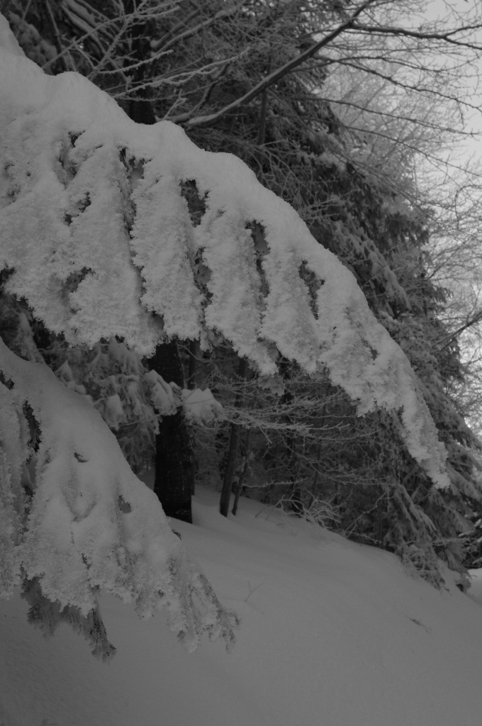 #5 hiver, enfin hiver, enfin