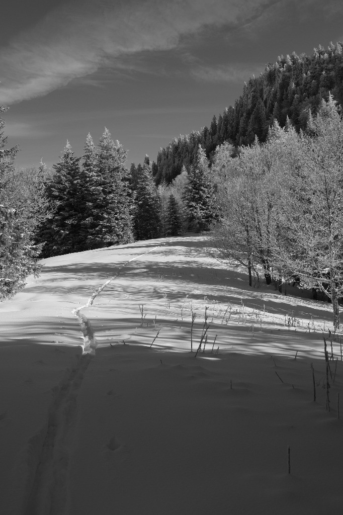#9 Clairière de Fetrus Clairière de Fetrus