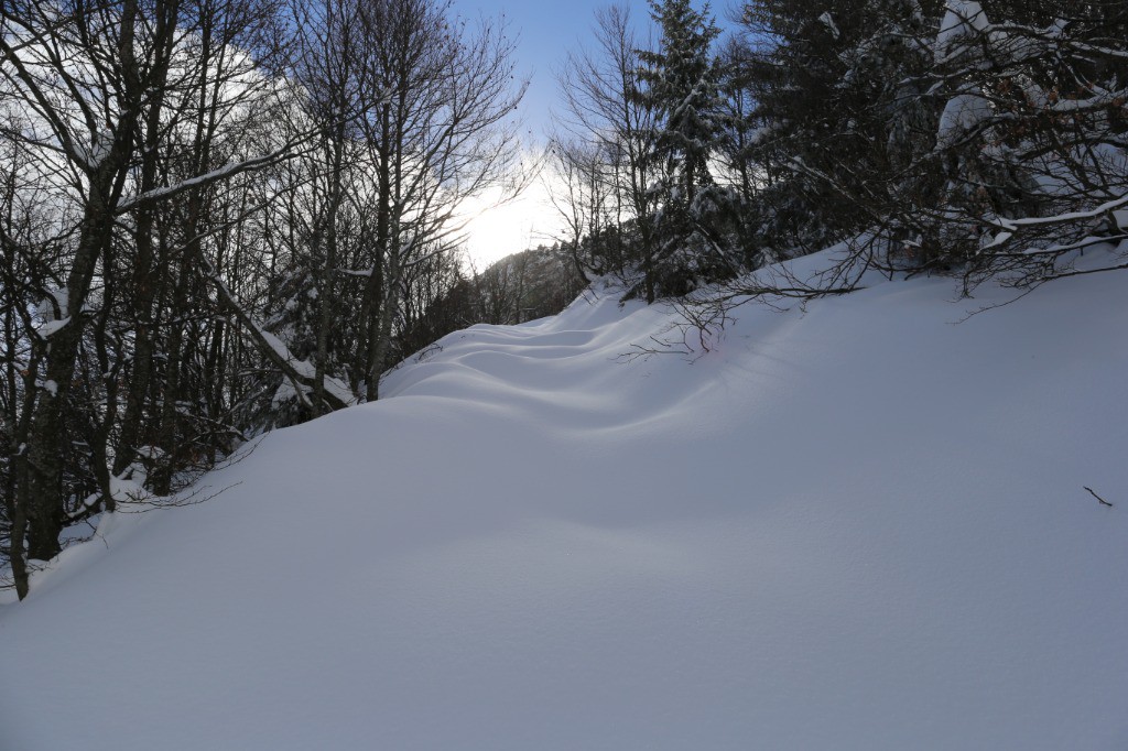 #3 Et ça continue...avec le soleil ! Et ça continue...avec le soleil !
