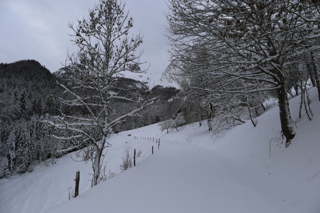 #1 Trace à faire... Trace à faire...