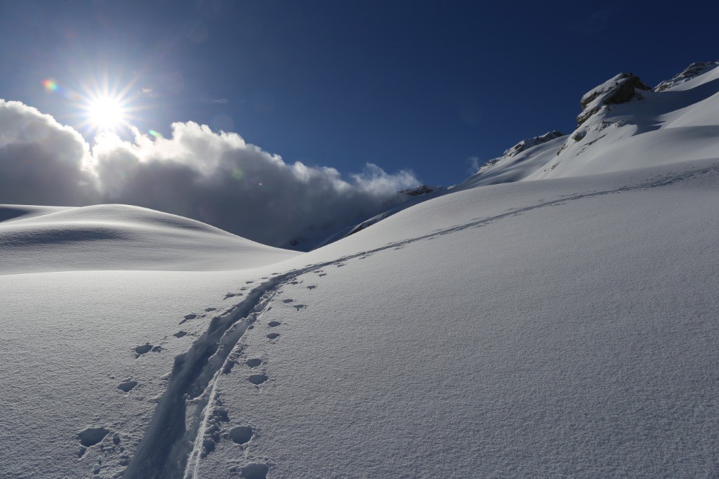 #9 Magie du blanc immaculé... Magie du blanc immaculé...