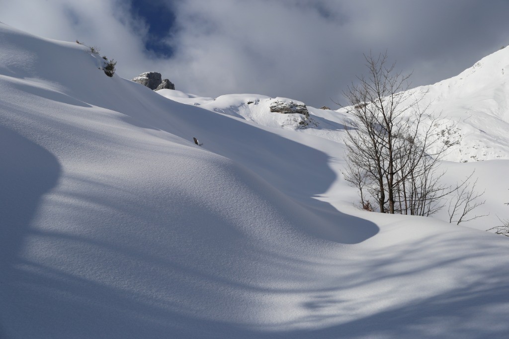 #4 Refuge en vue, quel décor ! Refuge en vue, quel décor !