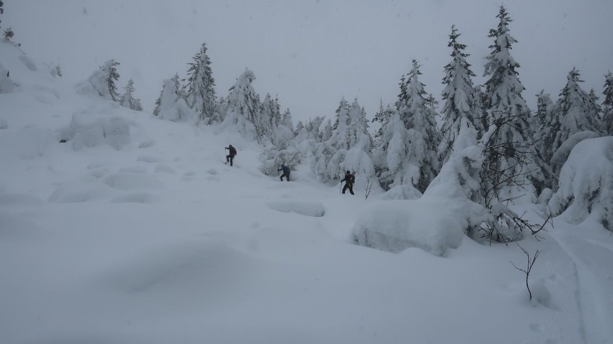 #1 Mt d Mt d'Alambre versant nord