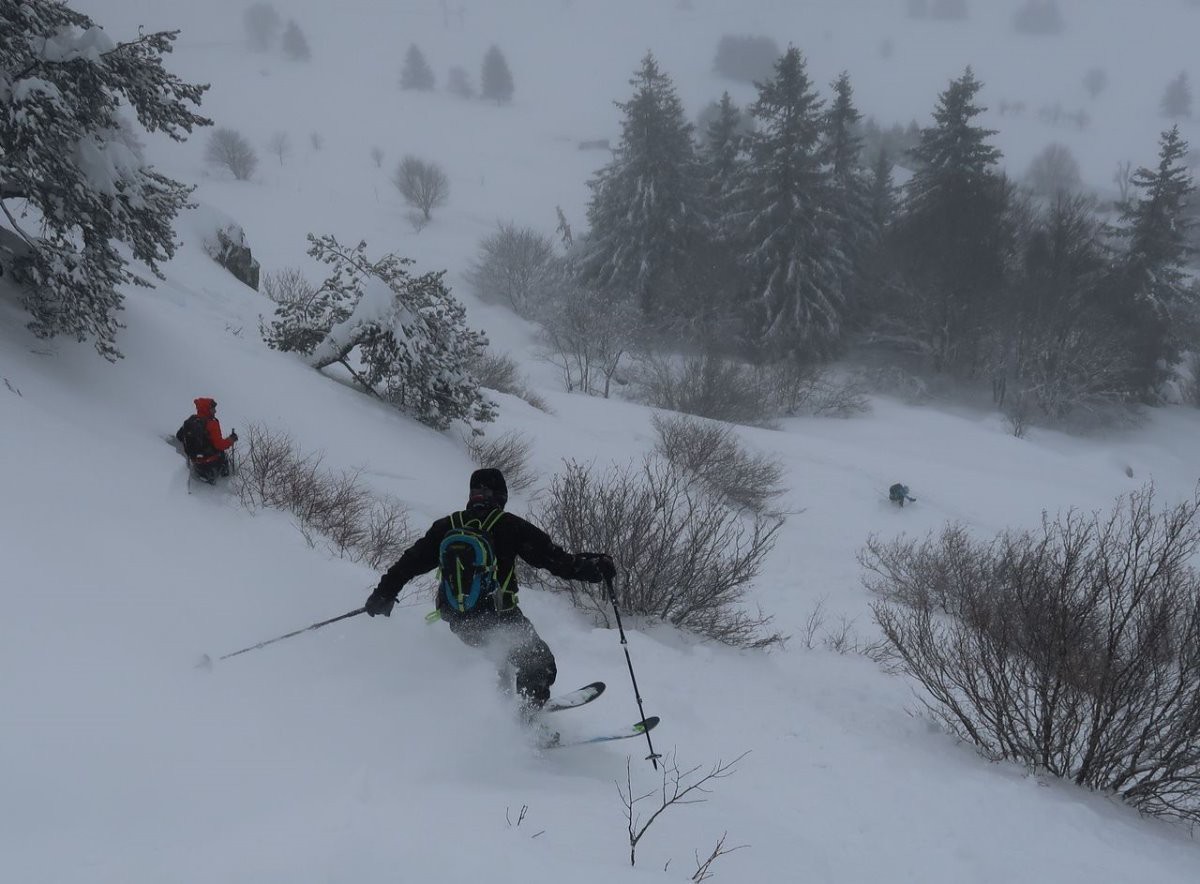 #7 Fabien le cabri Fabien le cabri